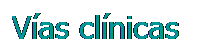 Cuadro de texto: Vías clínicas
