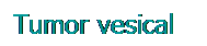 Cuadro de texto: Tumor vesical
